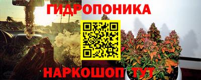 сатива Заволжье