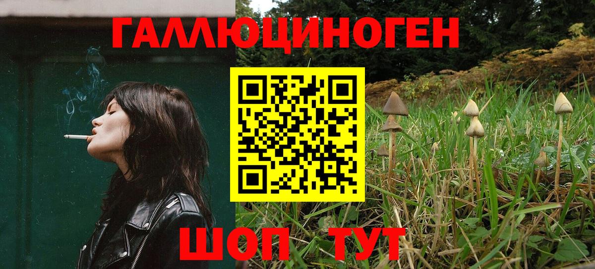 Галлюциногенные грибы мухоморы  Вход с VPN  купить закладку  Мурманск  Галлюциногенные грибы Psilocybine cubensis 