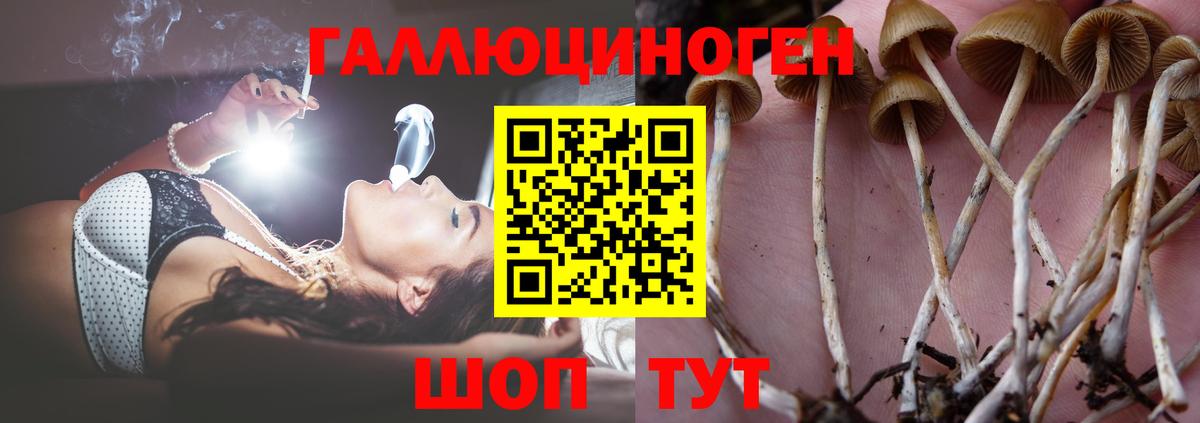 Галлюциногенные грибы Magic Shrooms Мурманск